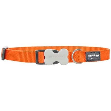 Collier OS : S / ORANGE 20-32cm