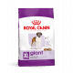 Croquettes pour très grand chien adulte Royal Canin Giant