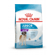 Croquettes pour très grand chien junior Royal Canin Giant