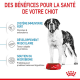 Croquettes pour très grand chien junior Royal Canin Giant