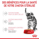 Émincés pour chatons Royal Canin Kitten Stérilised