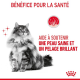 Royal canin: Intense Beauty