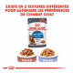 Royal Canin: Ultra light