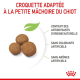 Croquettes pour très grand chiot Royal Canin Giant