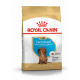 Croquettes pour Teckel chiot Royal canin Dachshund