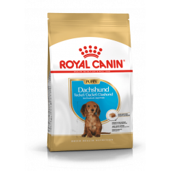 Croquettes pour Teckel chiot Royal canin Dachshund 1,5kg