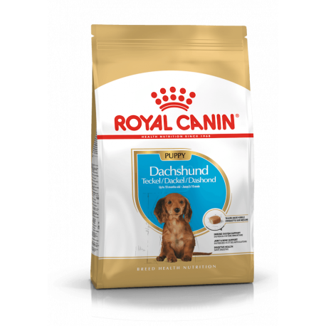 Croquettes pour Teckel chiot Royal canin Dachshund