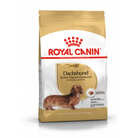 Croquettes pour Teckel adulte Royal canin Dachshund