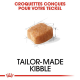 Croquettes pour Teckel adulte Royal canin Dachshund