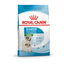 Croquettes pour sevrage petit chiot Royal Canin Mini Starter