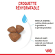 Croquettes pour sevrage petit chiot Royal Canin Mini Starter