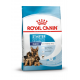 Croquettes pour sevrage chiot Royal Canin Maxi Starter