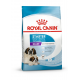 Croquettes pour sevrage chiot Royal Canin Giant Starter