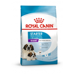 Croquettes pour sevrage chiot Royal Canin Giant Starter