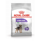 Croquettes pour petit chien stérilisé Royal Canin