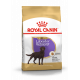 Croquettes pour Labrador Retriever Sterilised adulte Royal canin