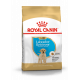 Croquettes pour Labrador Retriever junior Royal canin