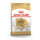 Croquettes pour Labrador Retriever adulte Royal canin