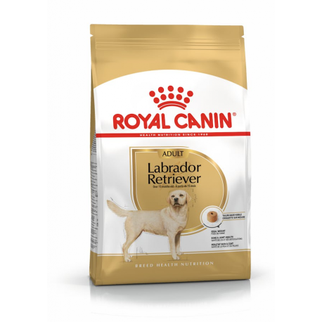 Croquettes pour Labrador Retriever adulte Royal canin