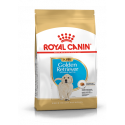 Croquettes pour Golden Retriever junior Royal canin