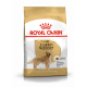 Croquettes pour Golden Retriever adulte Royal canin