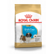 Croquettes pour chiot Shih Tzu junior Royal canin