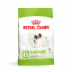 Croquettes pour chien toy adulte Royal Canin X-Small