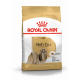 Croquettes pour chien Shih Tzu adulte Royal canin