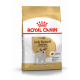 Croquettes pour chien Jack Russel adulte Royal Canin