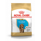 Croquettes pour chien Cocker Junior Royal Canin