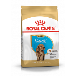 Croquettes pour chien Cocker Junior Royal Canin