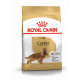 Croquettes pour chien Cocker anglais et américain adulte Royal Canin 25