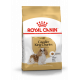 Croquettes pour chien Cavalier King Charles adulte Royal Canin