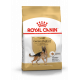 Croquettes pour chien Berger Allemand adulte Royal Canin