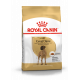 Croquettes Dogue Allemand adulte Royal Canin 12Kg