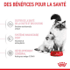 Croquettes pour chaton en sevrage Royal-Canin Babycat 34