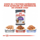 Sachet de bouchées en gelée pour chat Appetite Control 85gr