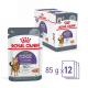 Sachet de bouchées en gelée pour chat Appetite Control 85gr