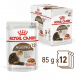 sachet pour chat Royal Canin: Ageing +12ans