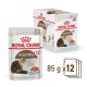 sachet pour chat Royal Canin: Ageing +12ans