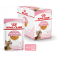 Émincés pour chatons Royal Canin Kitten Stérilised