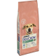 Croquettes chien ayant tendance à l'embonpoint Purina Dog Chow Light