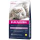 Croquettes pour chaton Eukanuba au poulet 2kg