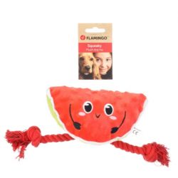 Jouet pour chien bubto pasteque avec corde rouge