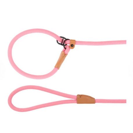 Laisse anti-traction chiot malibu Rose