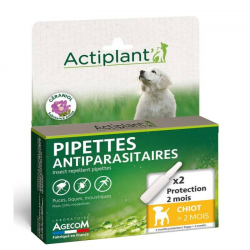 Eco spot pipettes antiparasitaire pour chien