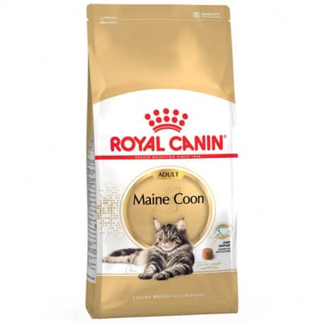 Royal-Canin  Mainecoon 31