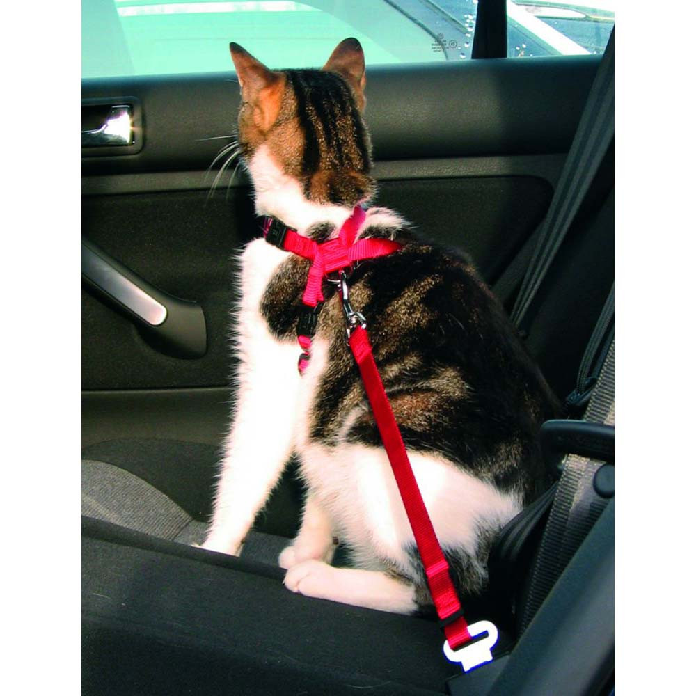 Harnais de sécurité voiture pour chat - placedesvetos.com